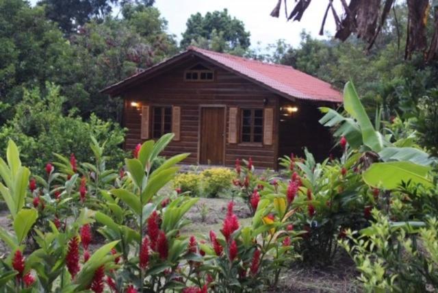 Hospedaje En El Lago San Pedro Sula Esterno foto